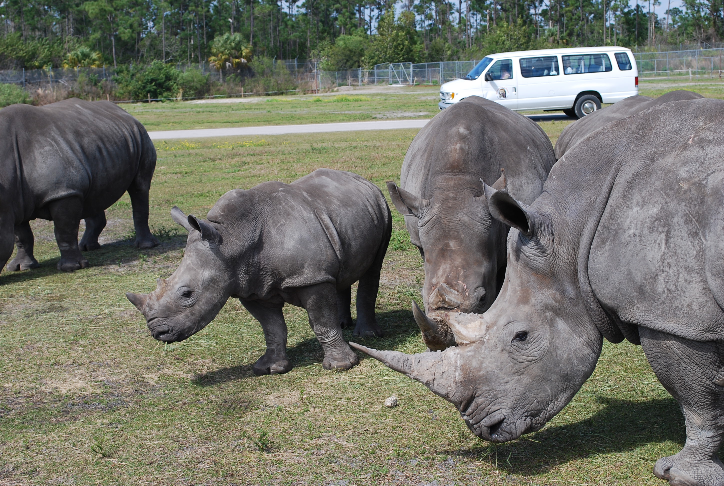 Lion Country Safari Miami Beach Visitor Center